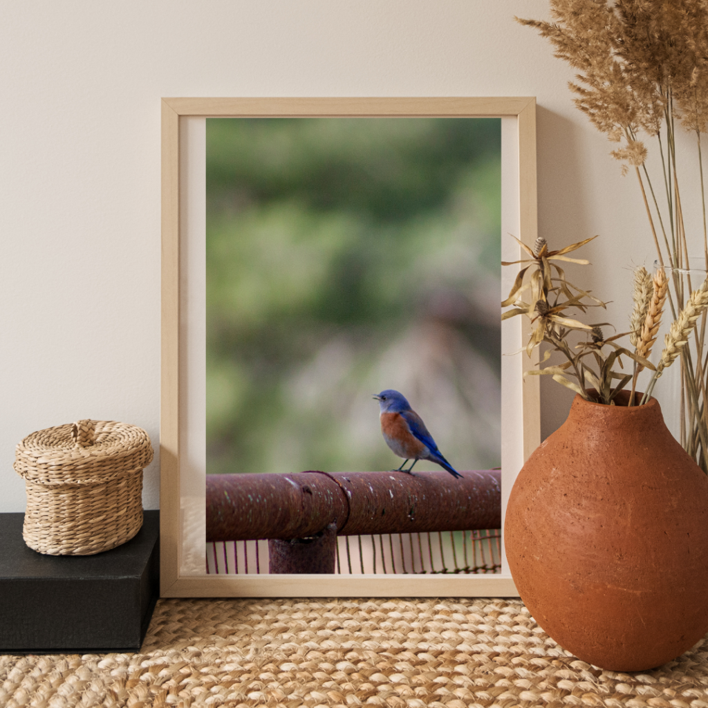 Framed print