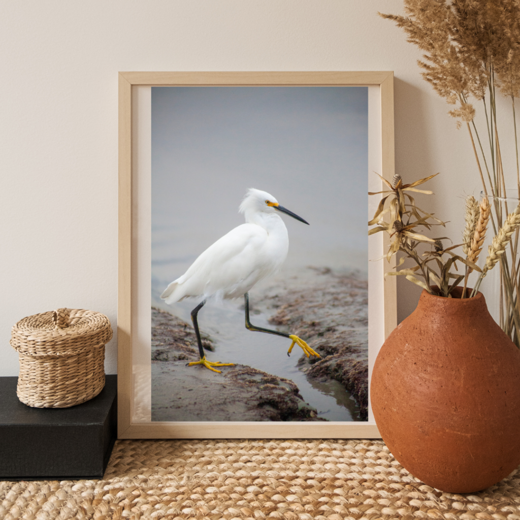 Framed print