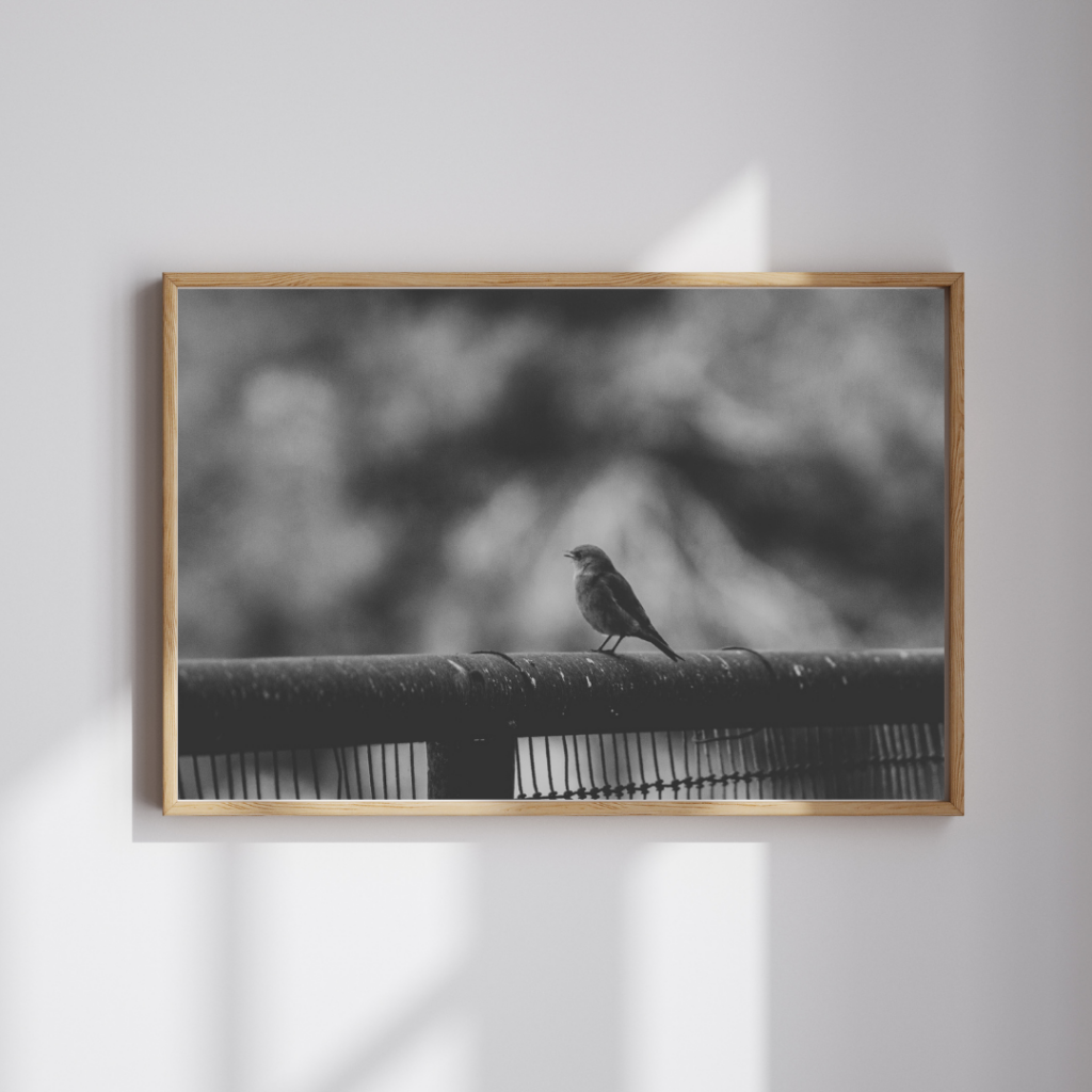 Framed print