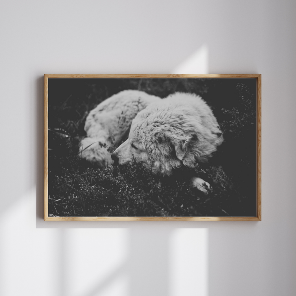 Framed print
