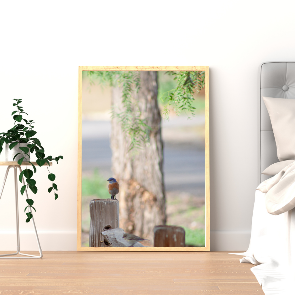 Framed print