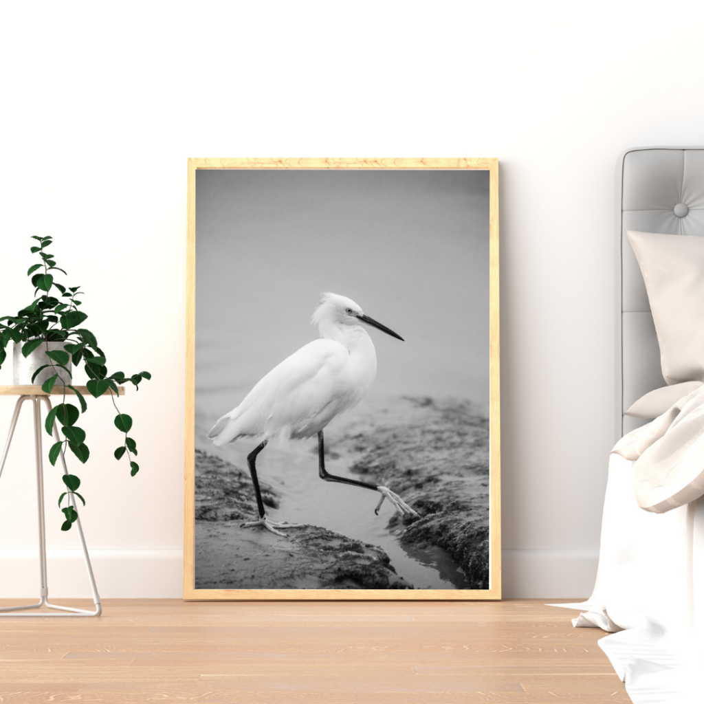 Framed print