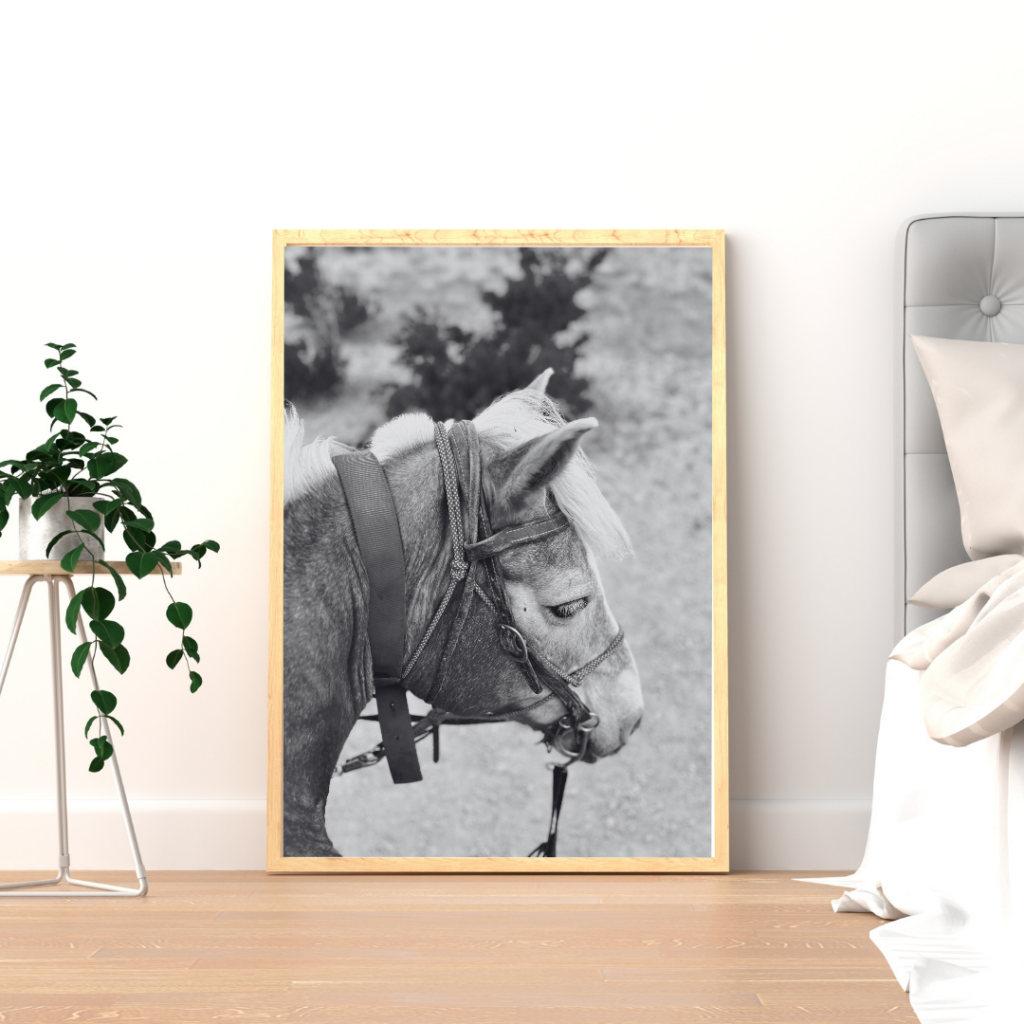 Framed print