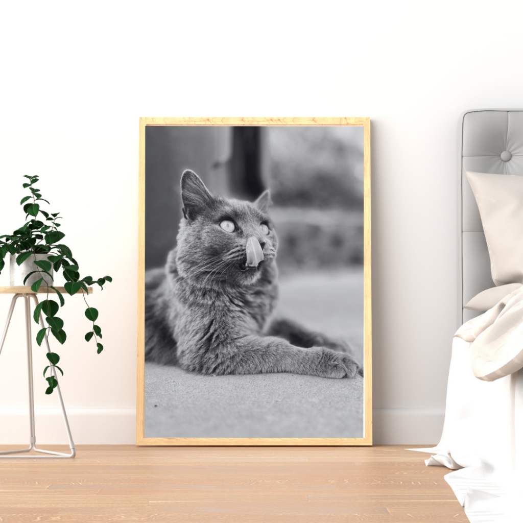 Framed print