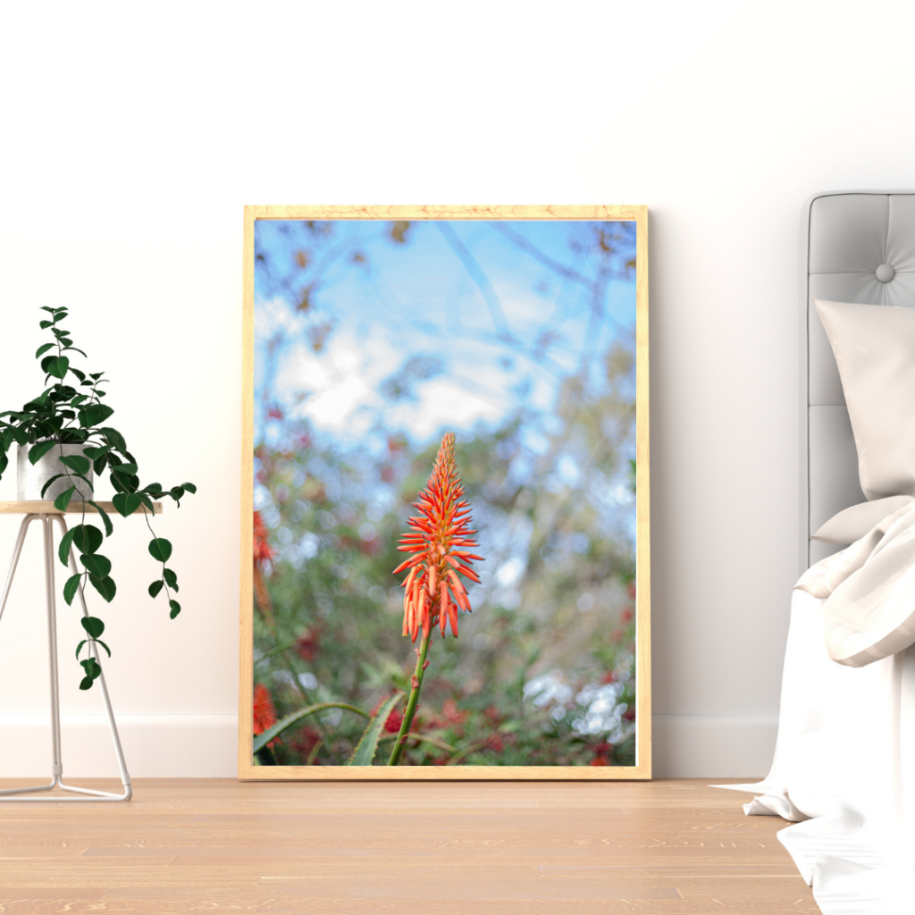 Framed print