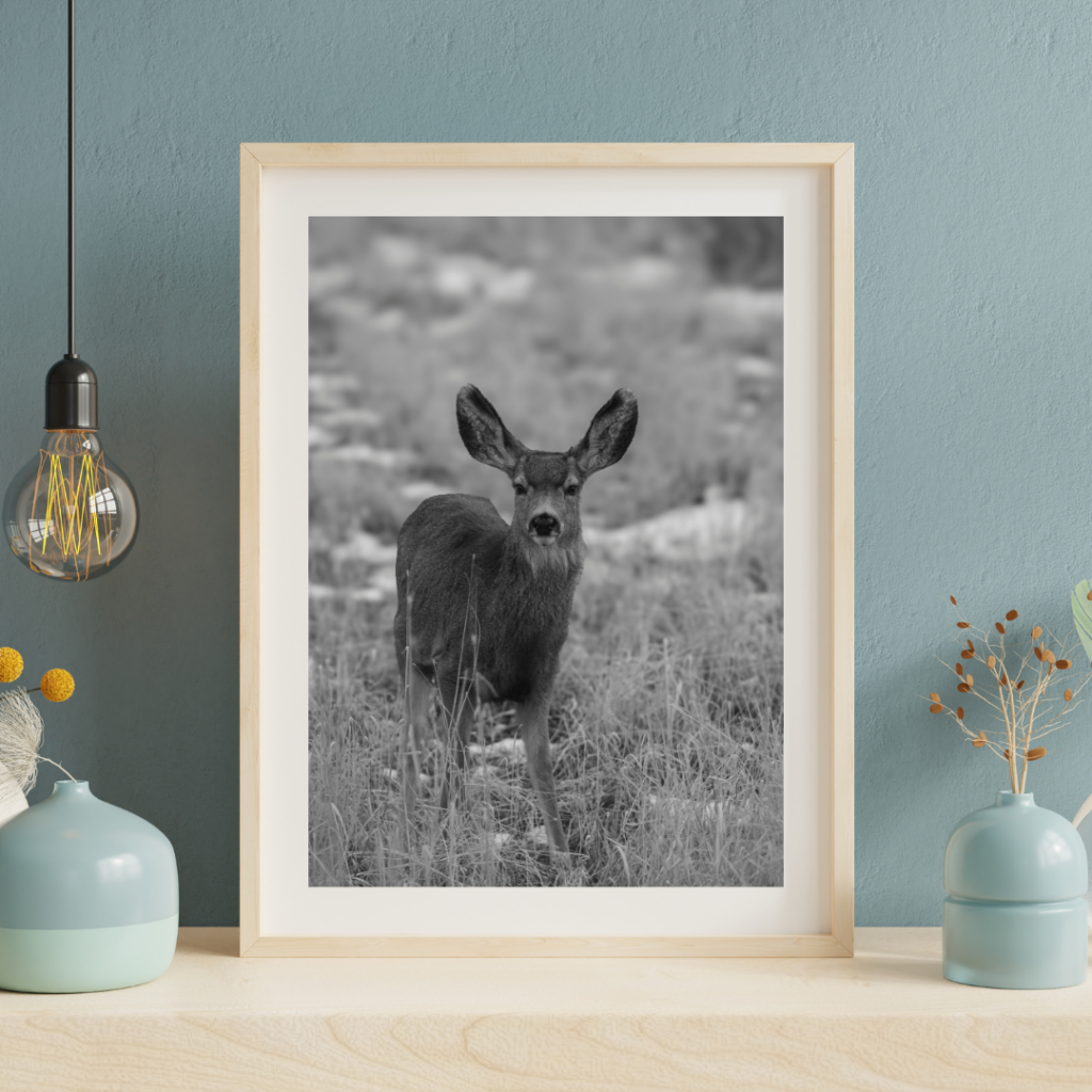 Framed print