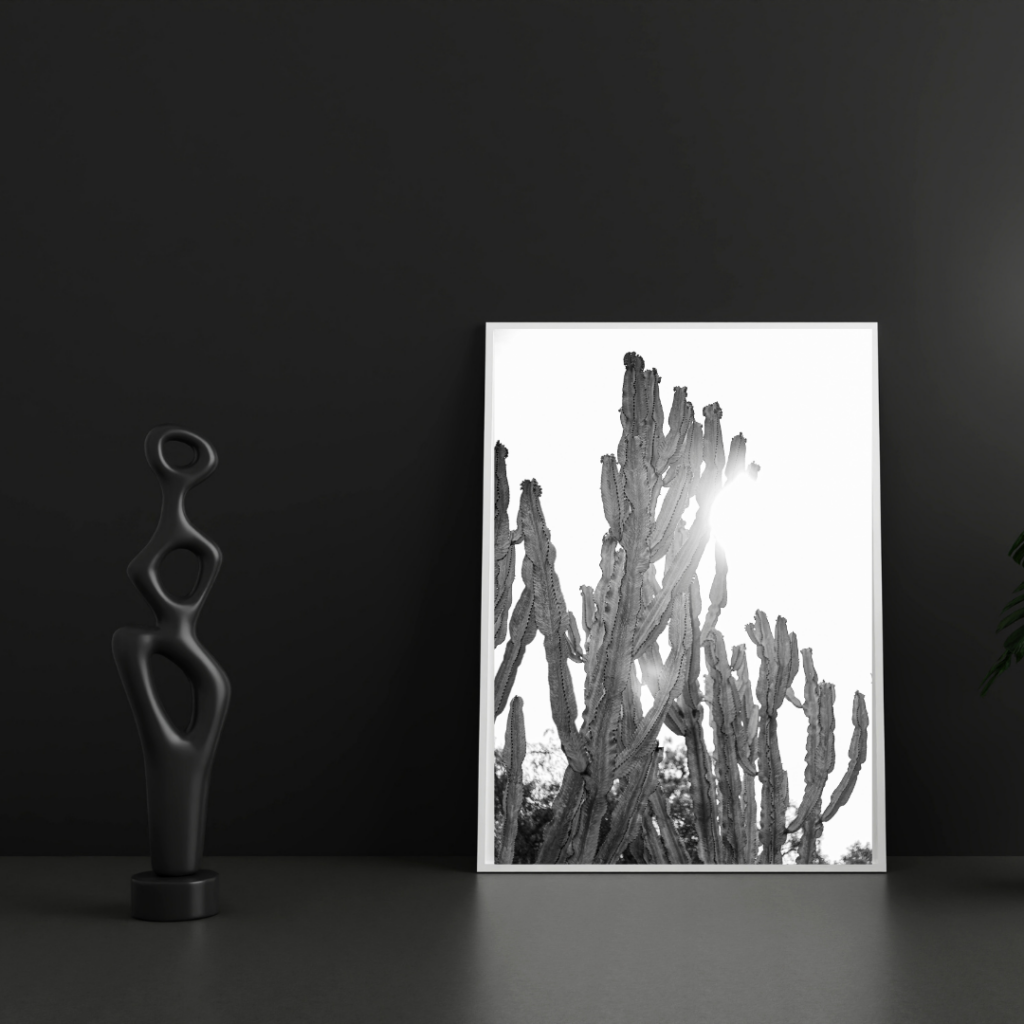 Framed print