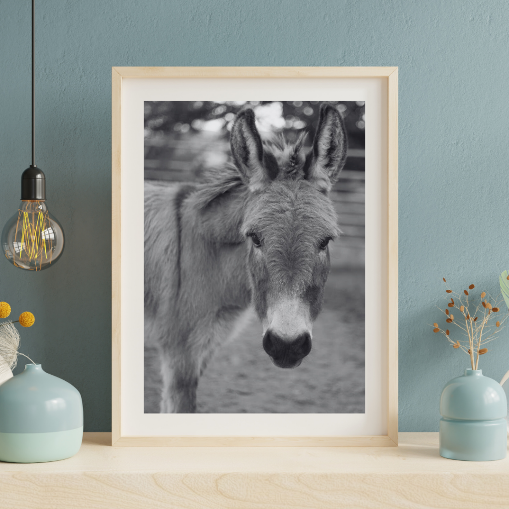 Framed print