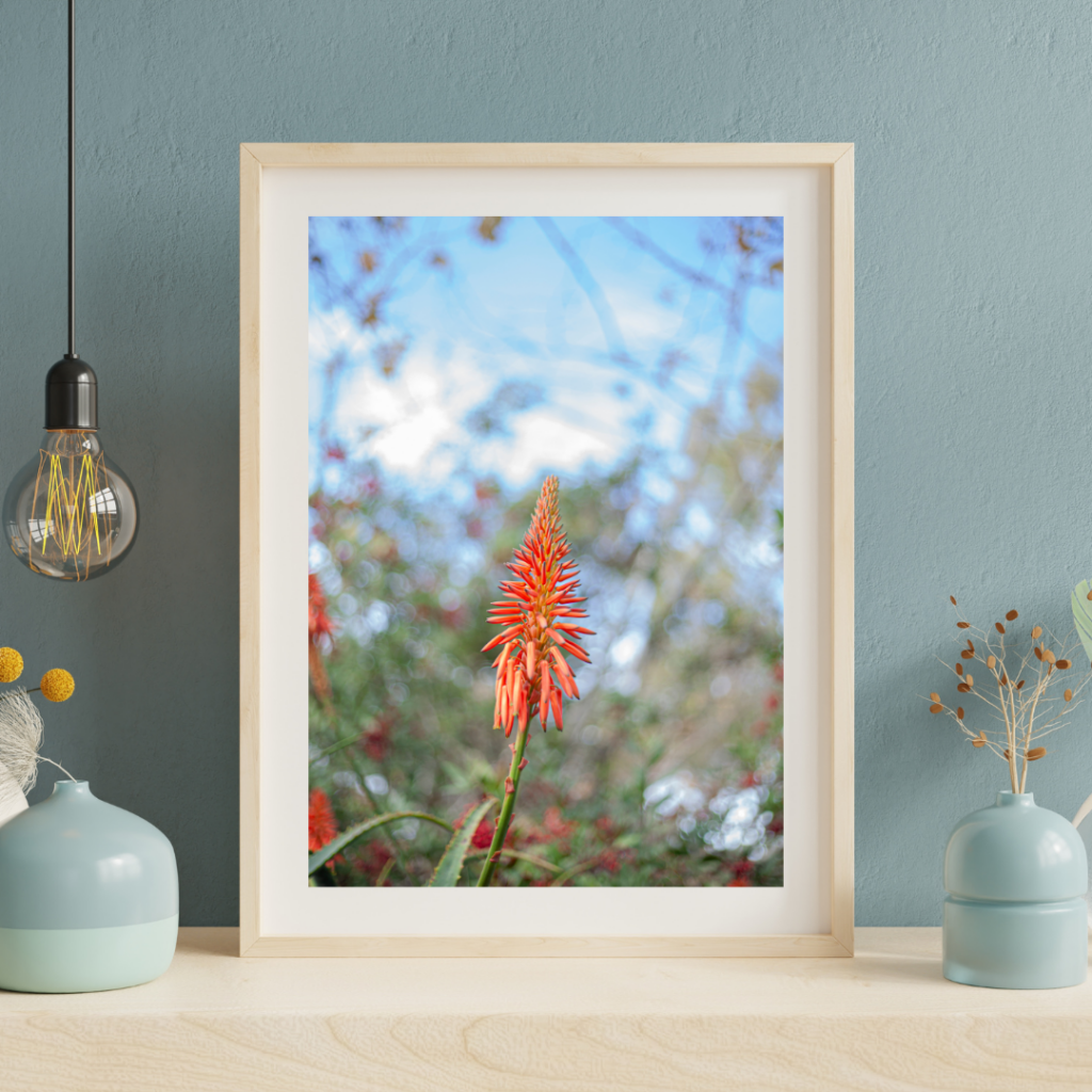 Framed print
