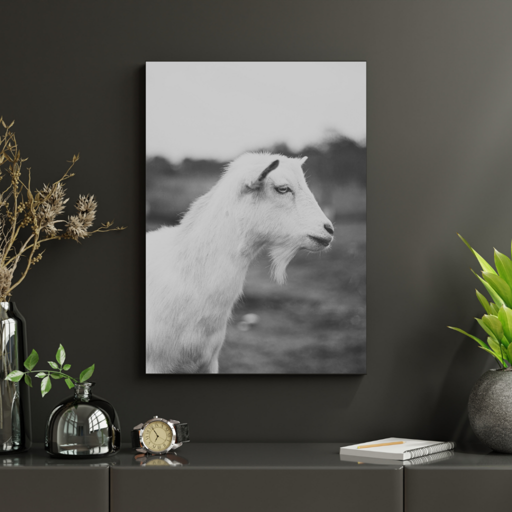 Framed print