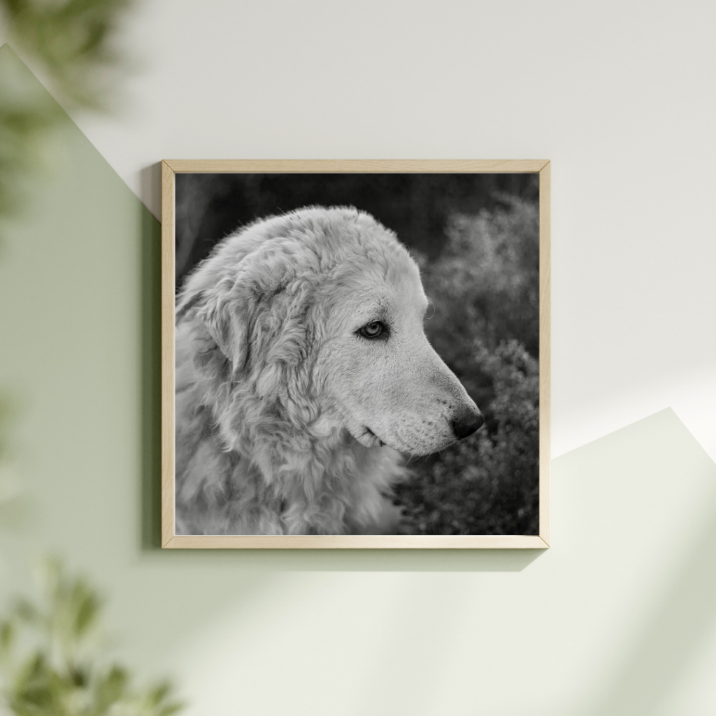 Framed print