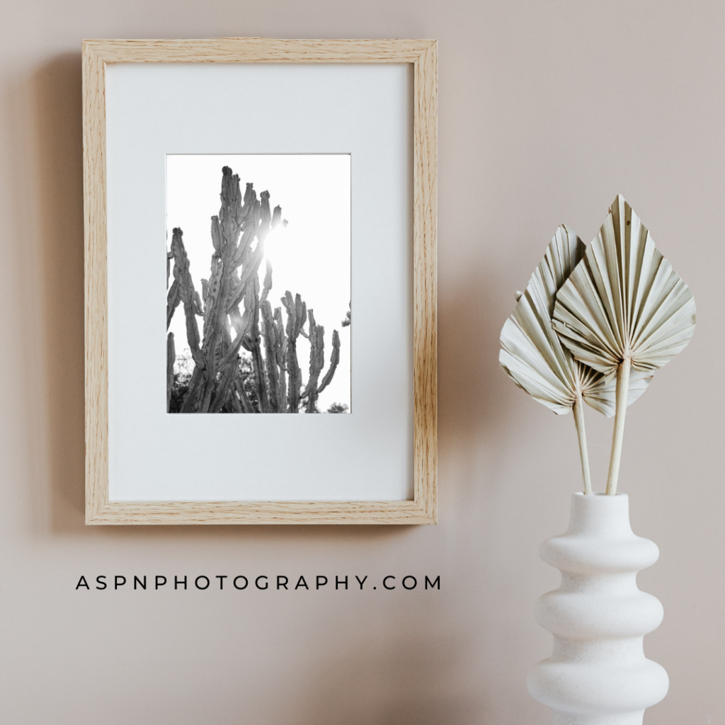 Framed print