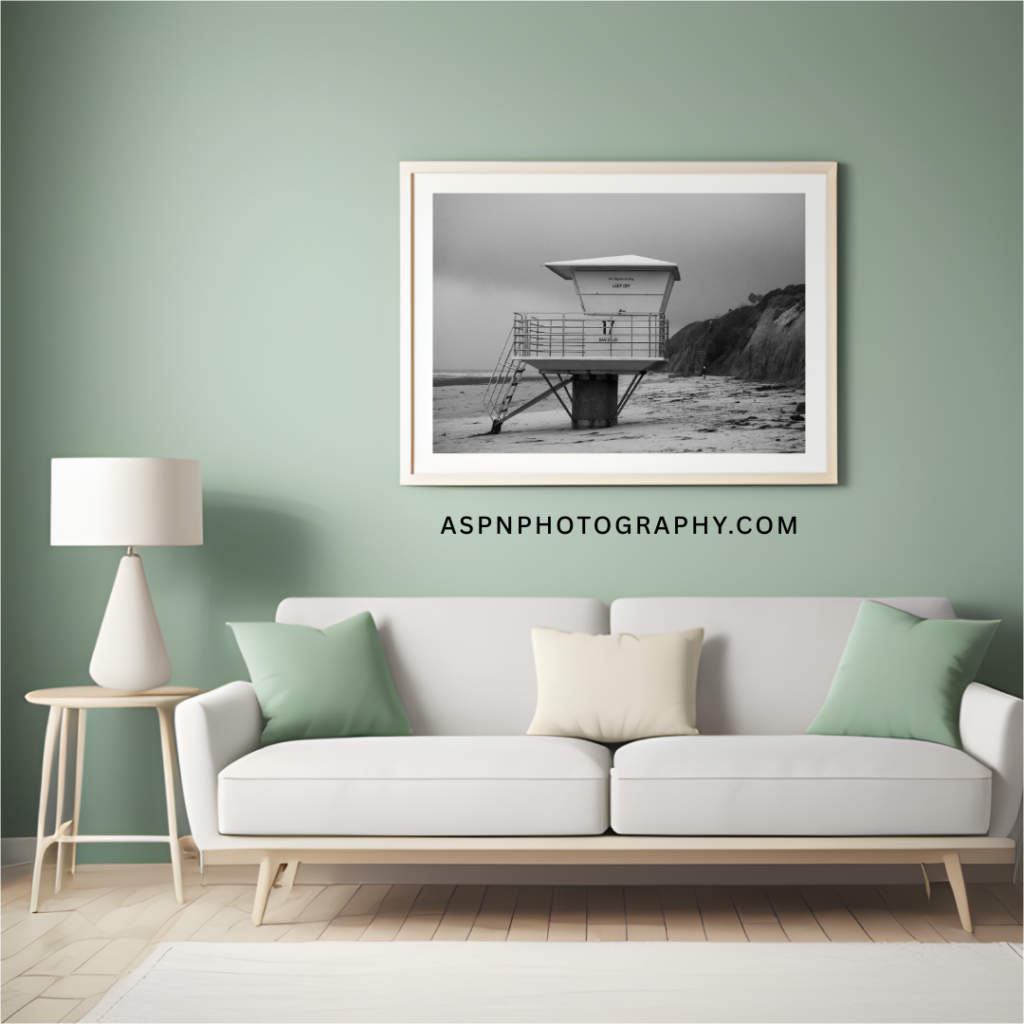 Framed print