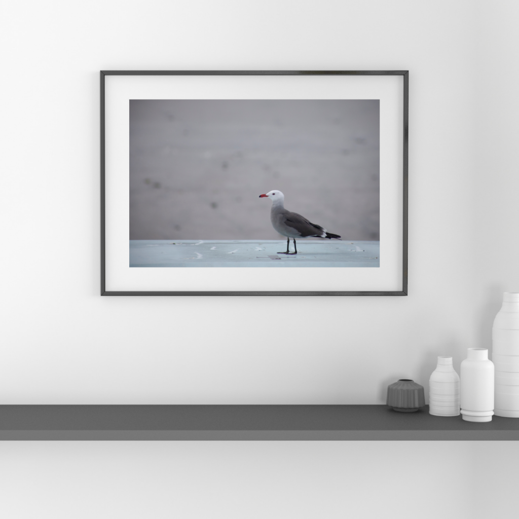 Framed print